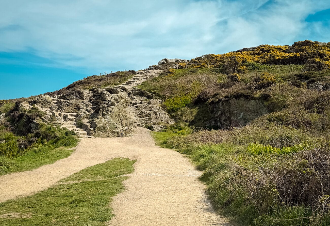 Początek szlaku Trimline Loop na klifach w Howth