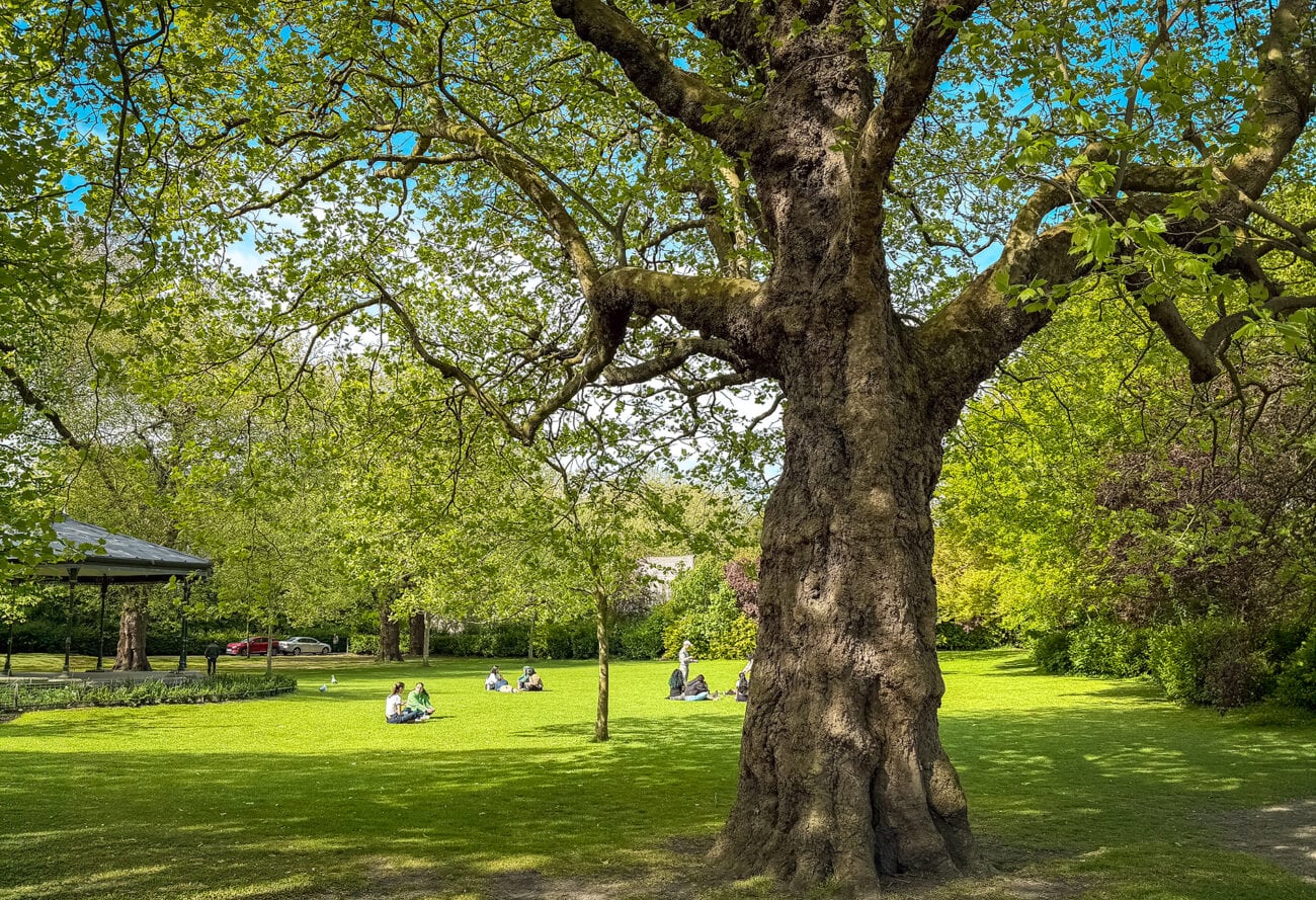 Polana w parku St Stephen’s Green