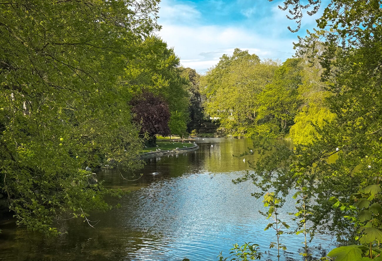 Staw w parku St Stephen’s Green